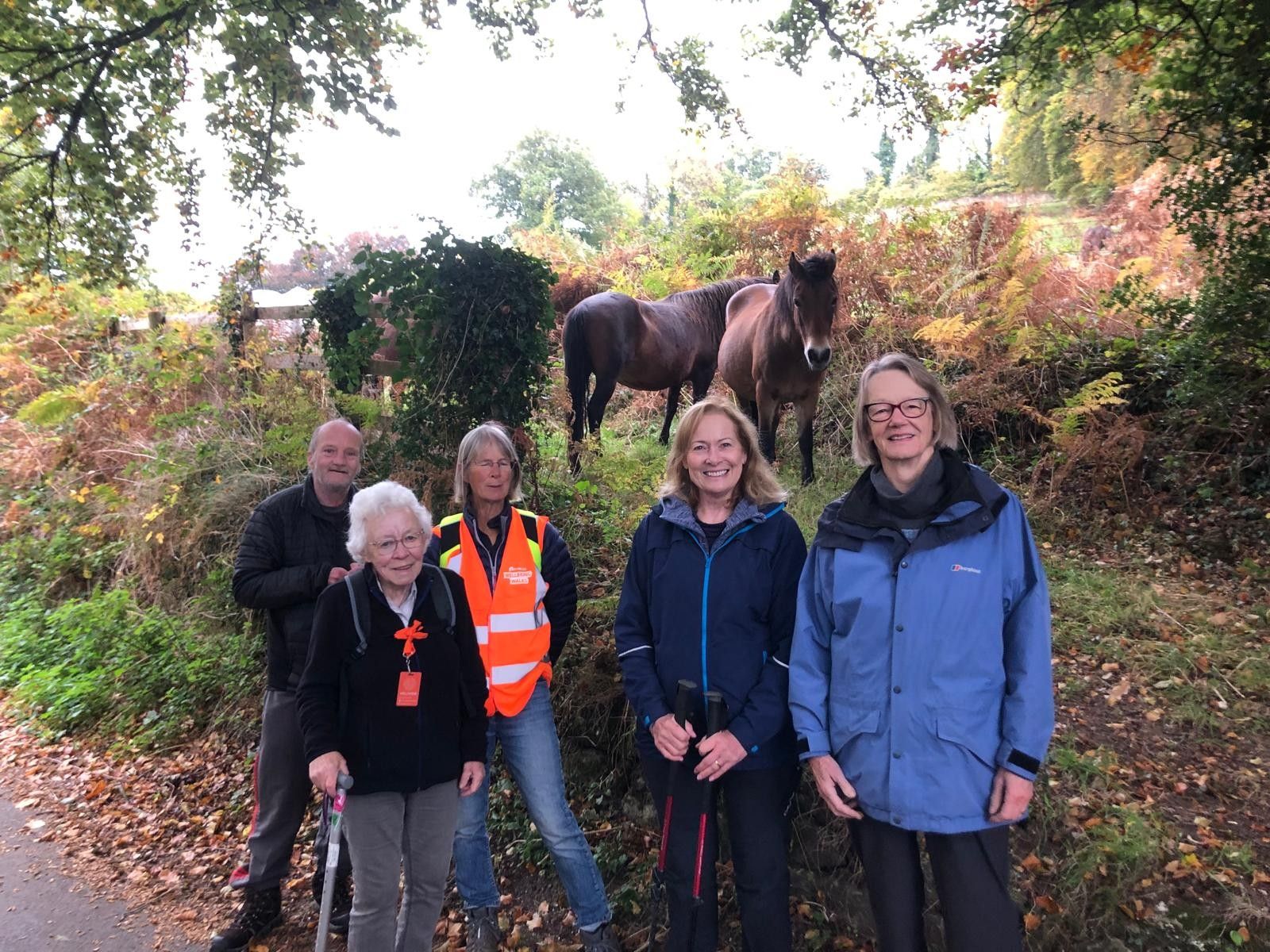 Group of Wellmoor wellbeing walkers enjoying a walk, with two horses visible in the background